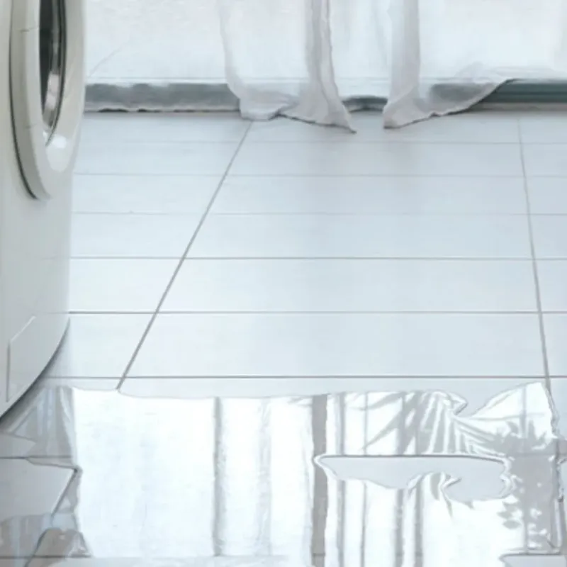 Appliance Leak Cleanup in Shawano County, WI