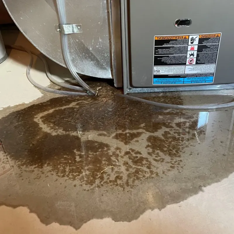 Pipe Burst and Leak Restoration in Shawano County, WI