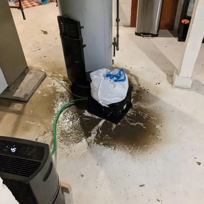 Sewage Backup Cleanup Service in Shawano County, WI